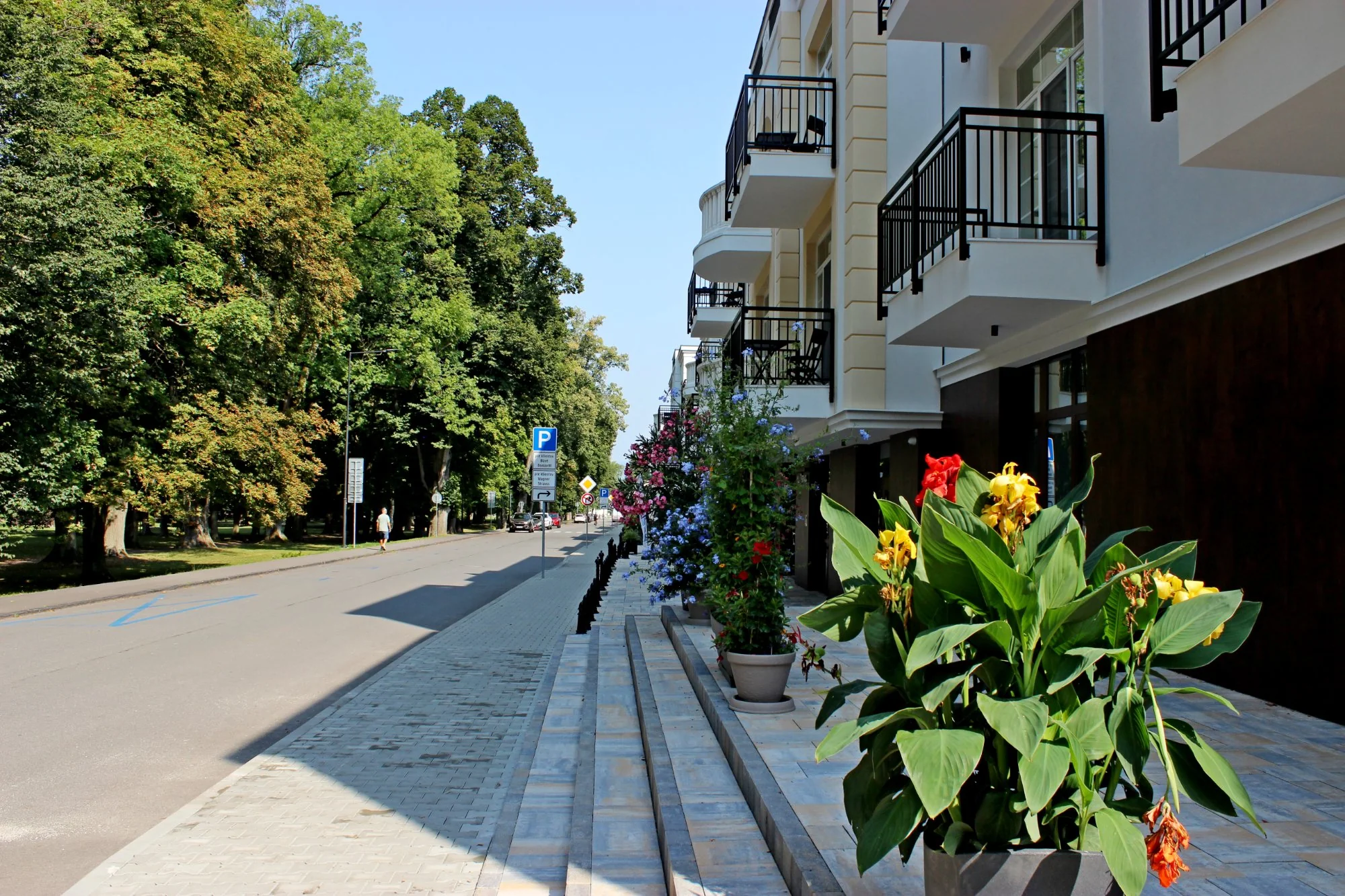 Donizetti-C — building entrance with flowers